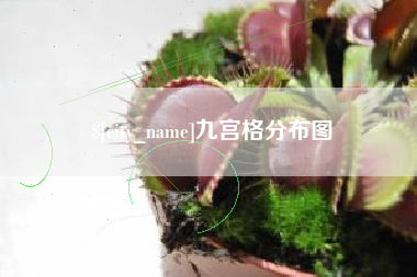 兰考九宫格分布图