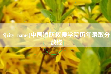 兰考中国消防救援学院历年录取分数线