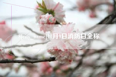 兰考11月9日消防日全称