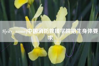 兰考中国消防救援学院招生身体要求