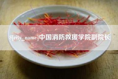 兰考中国消防救援学院副院长