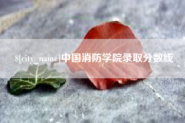 兰考中国消防学院录取分数线