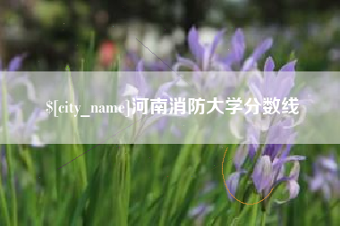 兰考河南消防大学分数线