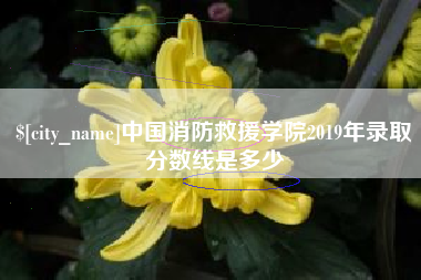 兰考中国消防救援学院2019年录取分数线是多少