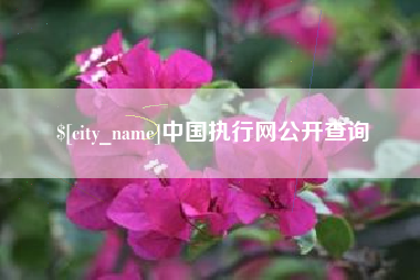 兰考中国执行网公开查询