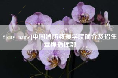 兰考中国消防救援学院简介及招生章程指挥部