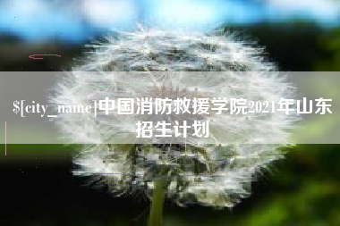 兰考中国消防救援学院2021年山东招生计划