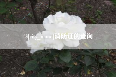 兰考消防证的查询