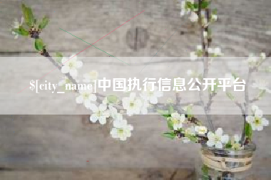 兰考中国执行信息公开平台
