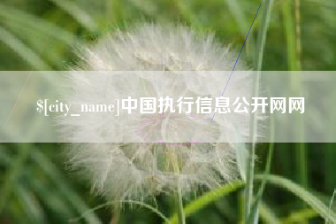兰考中国执行信息公开网网