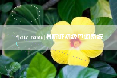 兰考消防证初级查询系统