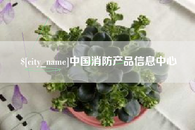 兰考中国消防产品信息中心