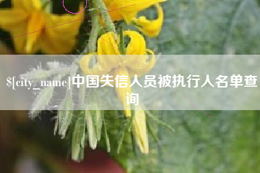兰考中国失信人员被执行人名单查询
