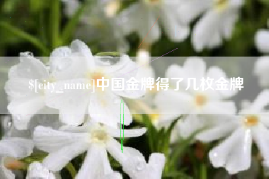 兰考中国金牌得了几枚金牌