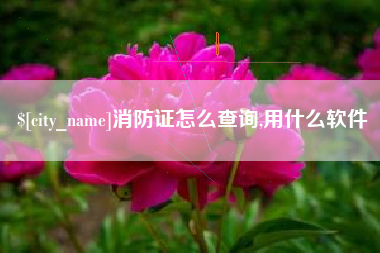 兰考消防证怎么查询,用什么软件