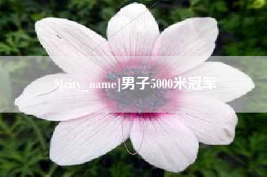 兰考男子5000米冠军