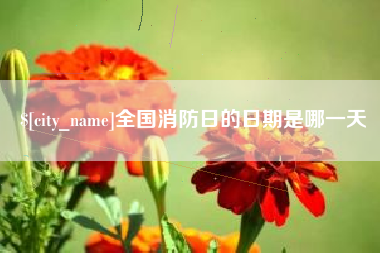 兰考全国消防日的日期是哪一天