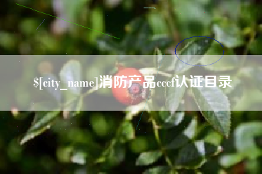 兰考消防产品cccf认证目录