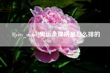 兰考奥运金牌榜是怎么排的
