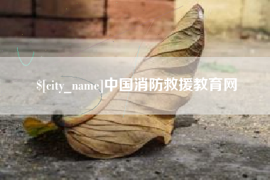 兰考中国消防救援教育网