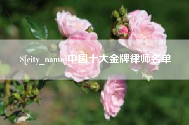 兰考中国十大金牌律师名单