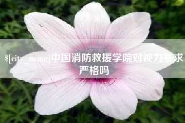 兰考中国消防救援学院对视力要求严格吗