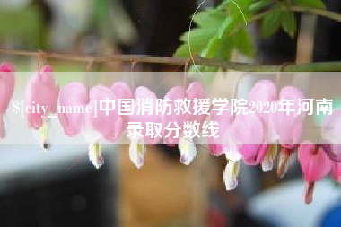 兰考中国消防救援学院2020年河南录取分数线