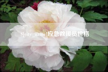 兰考应急救援员价格