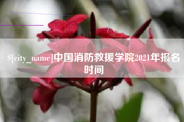兰考中国消防救援学院2021年报名时间