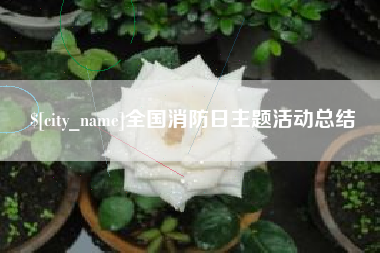 兰考全国消防日主题活动总结