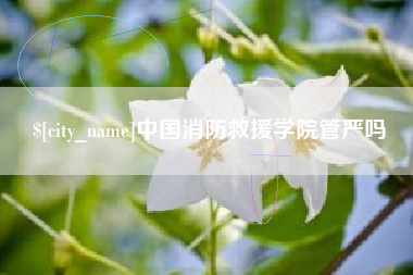 兰考中国消防救援学院管严吗