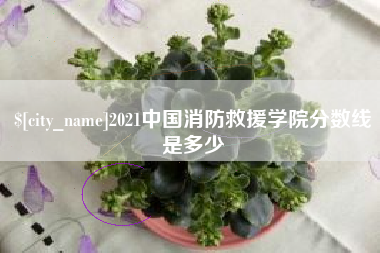 兰考2021中国消防救援学院分数线是多少