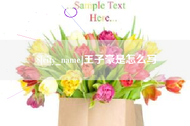 兰考王子豪是怎么写