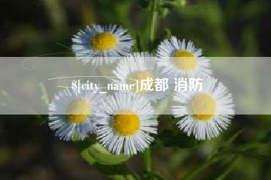 兰考成都 消防