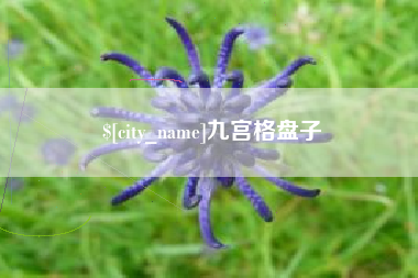 兰考九宫格盘子