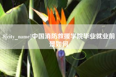 兰考中国消防救援学院毕业就业前景如何