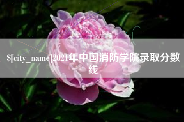 兰考2021年中国消防学院录取分数线