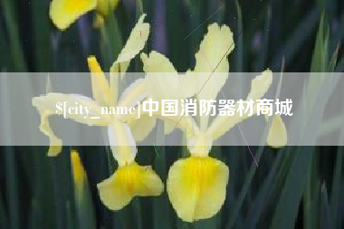兰考中国消防器材商城