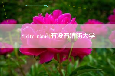 兰考有没有消防大学