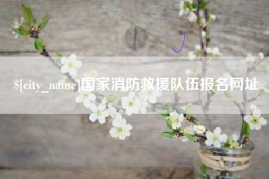 兰考国家消防救援队伍报名网址
