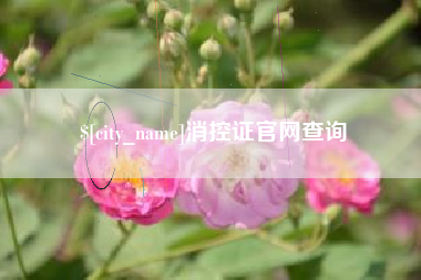 兰考消控证官网查询