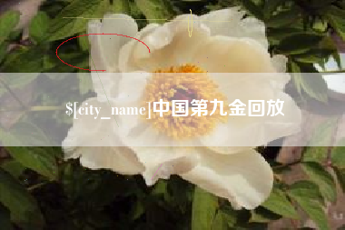 兰考中国第九金回放