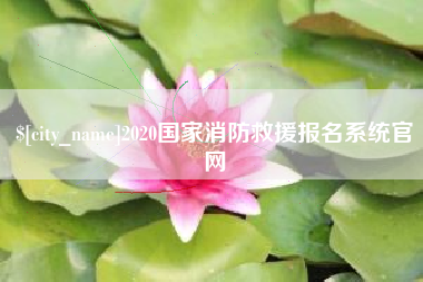 兰考2020国家消防救援报名系统官网