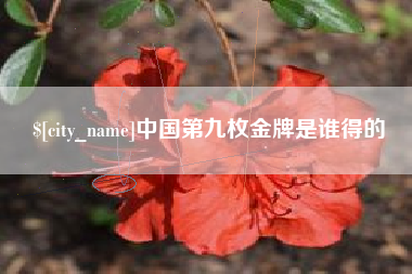 兰考中国第九枚金牌是谁得的