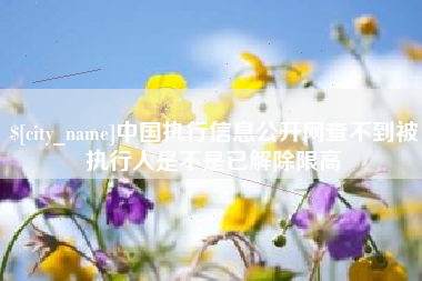 兰考中国执行信息公开网查不到被执行人是不是已解除限高