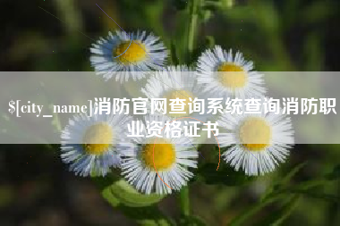 兰考消防官网查询系统查询消防职业资格证书