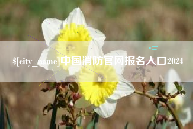 兰考中国消防官网报名入口2024