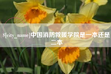兰考中国消防救援学院是一本还是二本