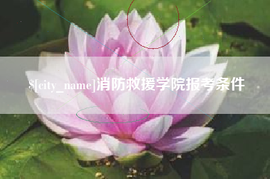 兰考消防救援学院报考条件