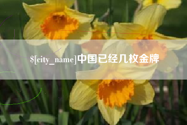 兰考中国已经几枚金牌